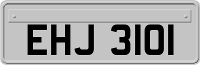 EHJ3101