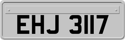 EHJ3117