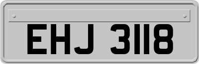 EHJ3118