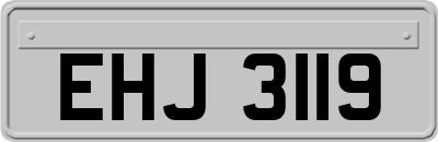 EHJ3119