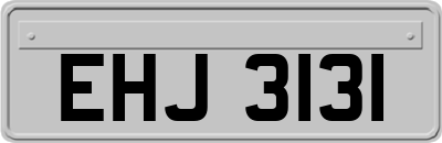 EHJ3131
