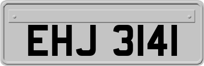 EHJ3141