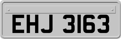 EHJ3163