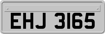 EHJ3165