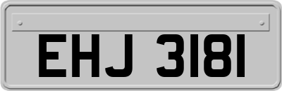 EHJ3181