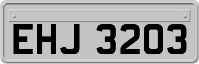EHJ3203