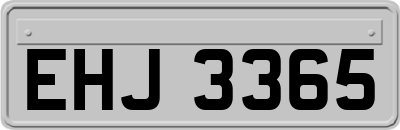 EHJ3365