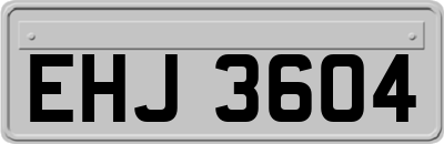 EHJ3604