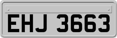 EHJ3663