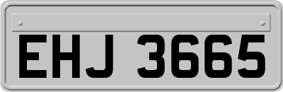 EHJ3665