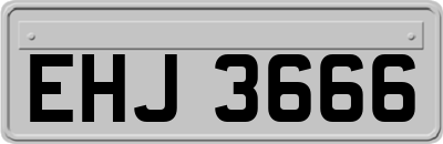 EHJ3666