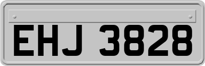 EHJ3828
