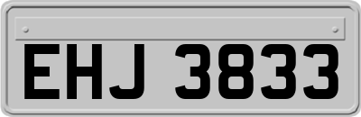 EHJ3833