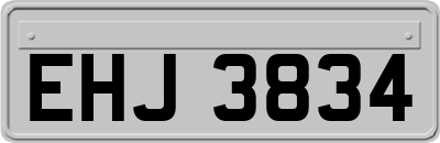 EHJ3834
