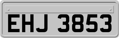 EHJ3853