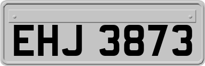 EHJ3873