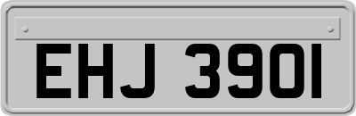 EHJ3901