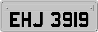 EHJ3919