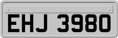 EHJ3980