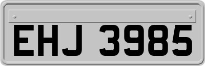 EHJ3985