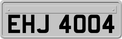 EHJ4004