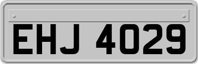 EHJ4029