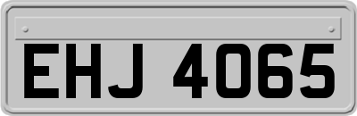 EHJ4065
