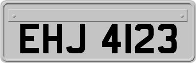 EHJ4123