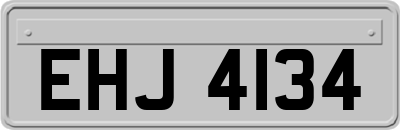 EHJ4134
