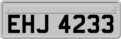 EHJ4233