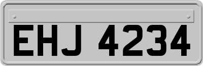 EHJ4234