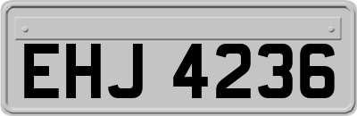 EHJ4236