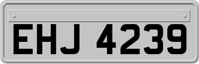 EHJ4239