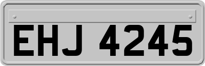 EHJ4245