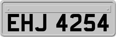 EHJ4254