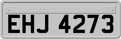 EHJ4273