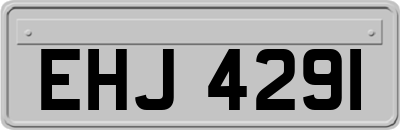 EHJ4291