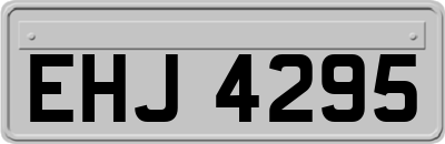 EHJ4295