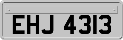 EHJ4313