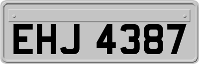 EHJ4387