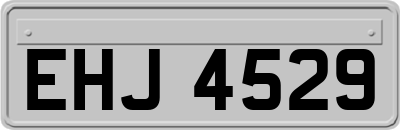 EHJ4529