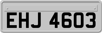 EHJ4603