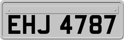 EHJ4787