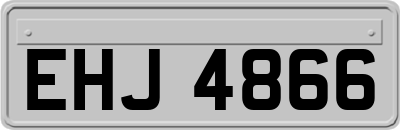 EHJ4866