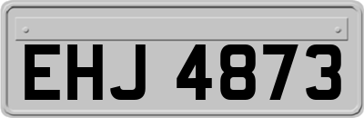 EHJ4873
