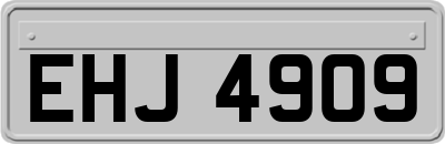 EHJ4909