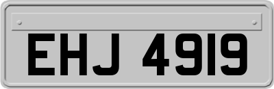 EHJ4919