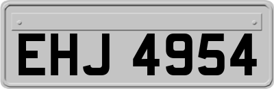 EHJ4954