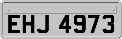 EHJ4973