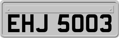 EHJ5003